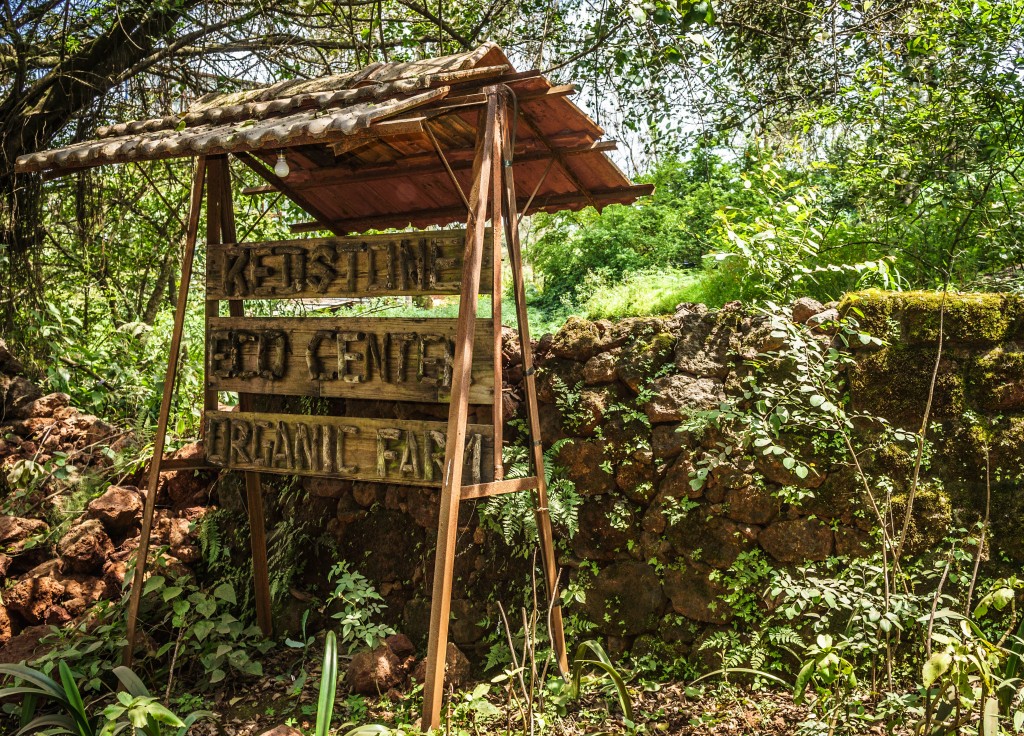 The red stone from which the farm gets its name is still evident.