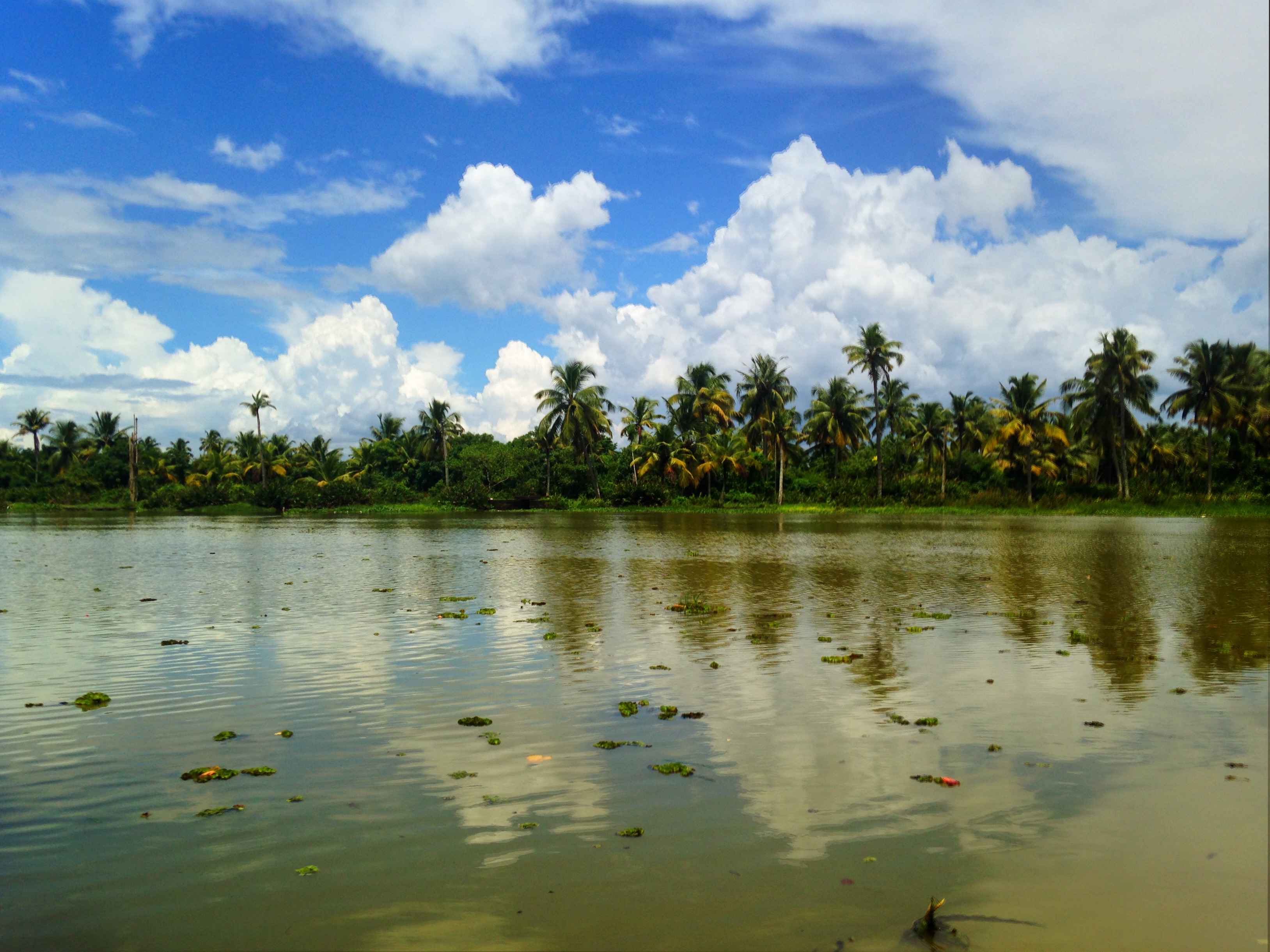 Backwaters, Kerala