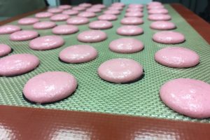 macarons ready for the oven
