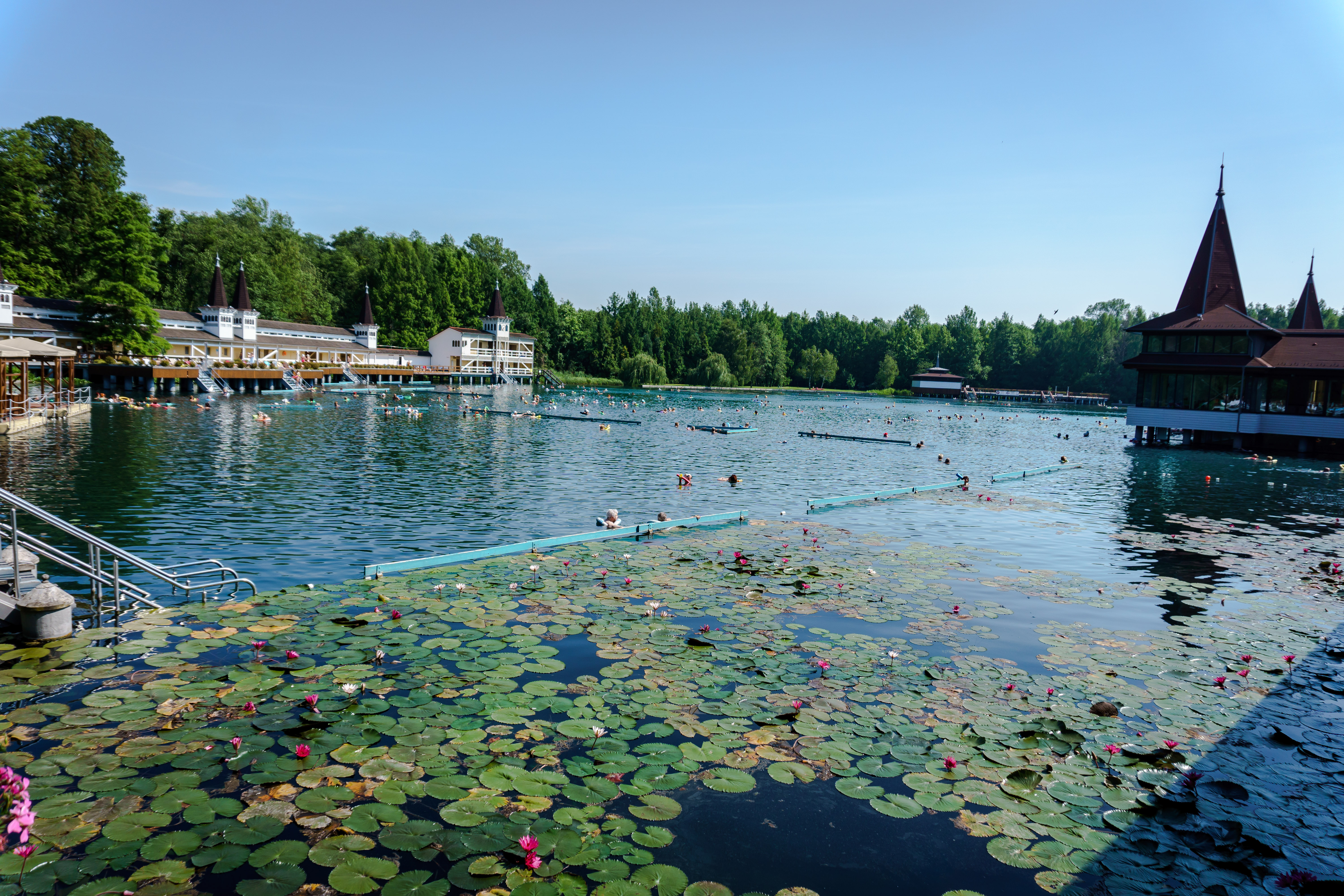 Lake Hévíz, Hungary