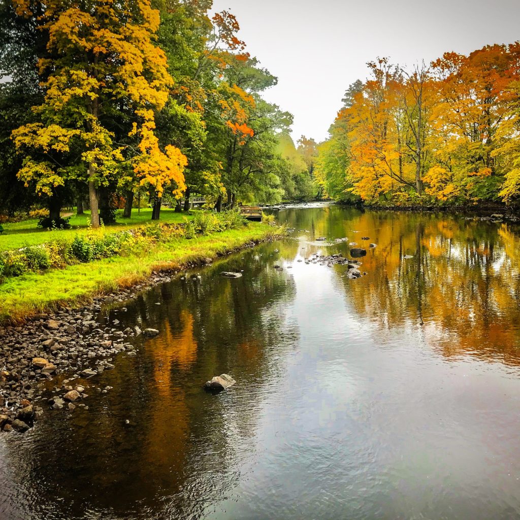 European Autumn